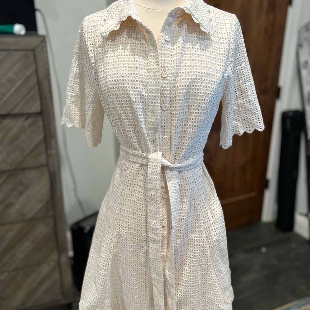 Elegant Cream Lace Shirt Dress